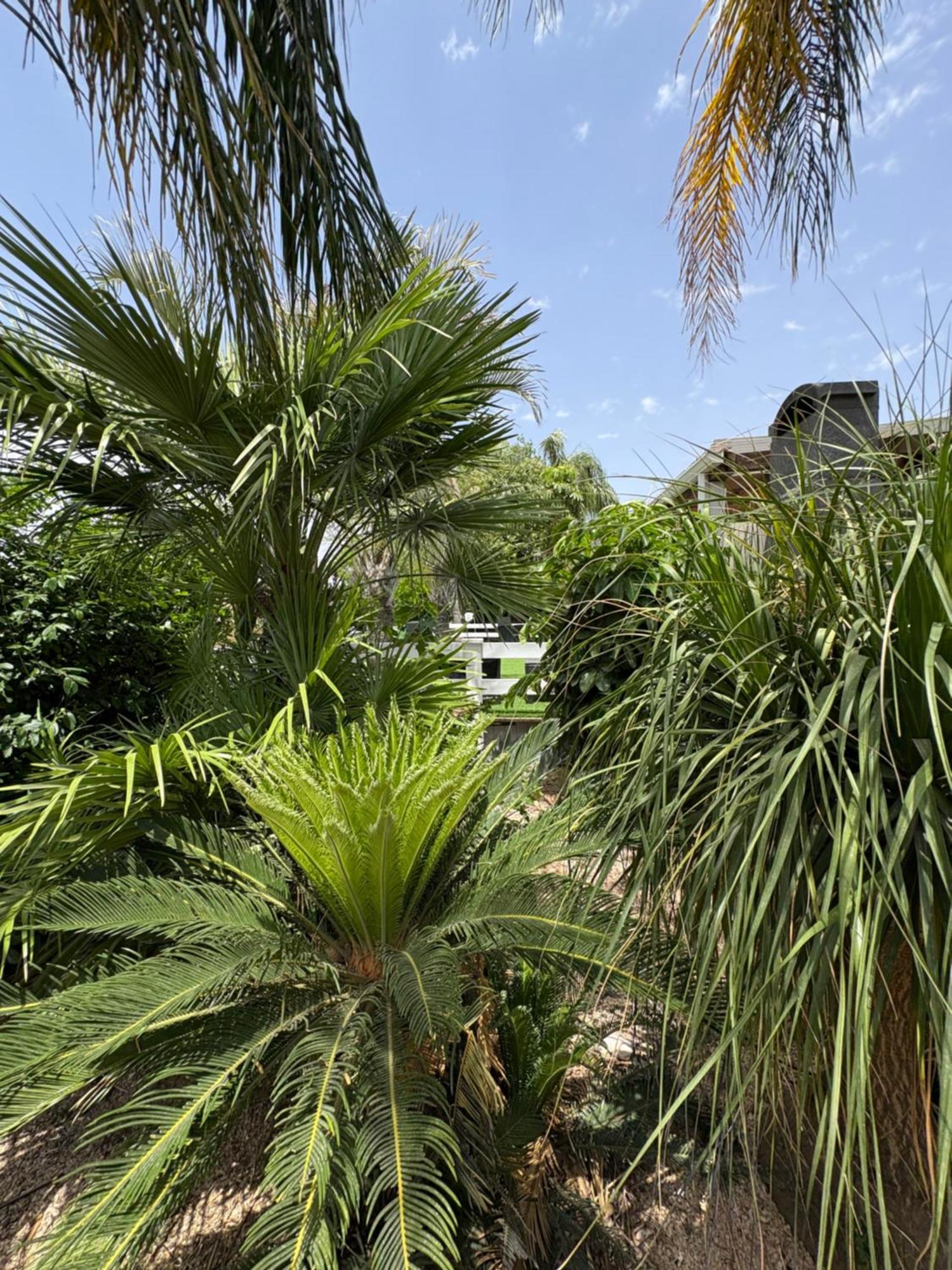 Kesem Ba Golan Villa Had Nes Bagian luar foto