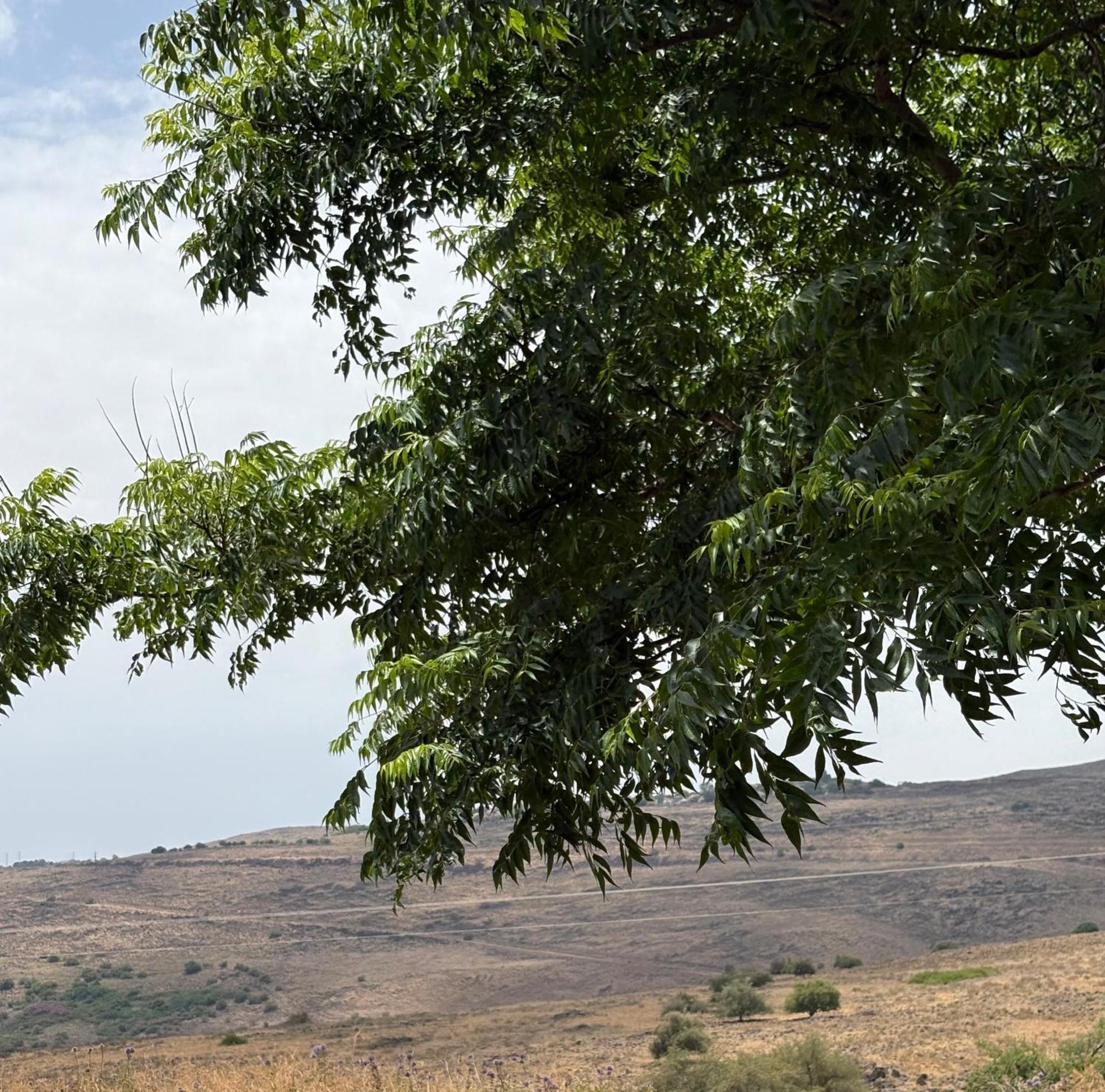 Kesem Ba Golan Villa Had Nes Bagian luar foto