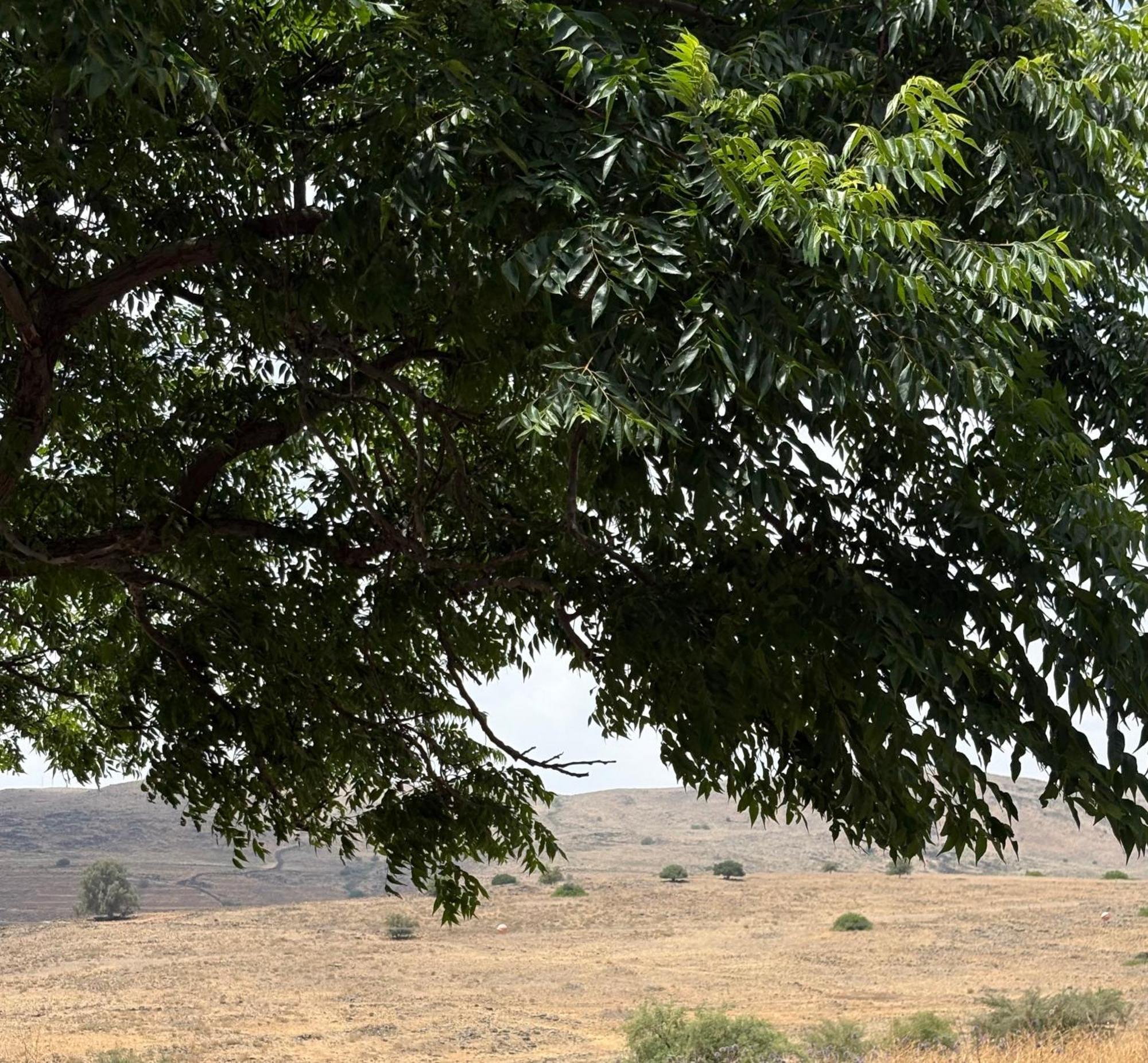 Kesem Ba Golan Villa Had Nes Bagian luar foto