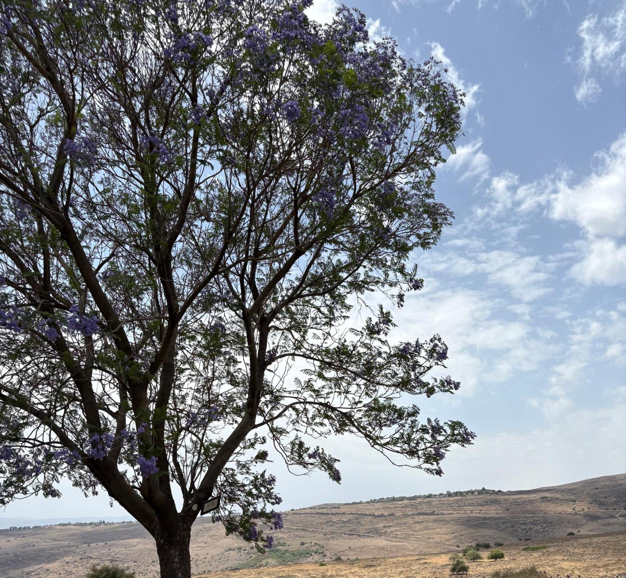 Kesem Ba Golan Villa Had Nes Bagian luar foto